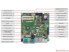 17197 Bo mạch chủ mainboard Fujitsu D3313-S2