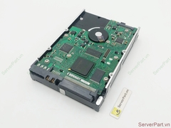 17249 Ổ cứng HDD SCSI 68 pin Seagate 300GB 10K 3.5