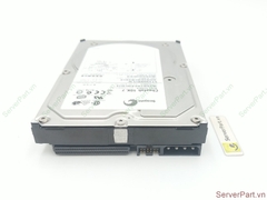 17249 Ổ cứng HDD SCSI 68 pin Seagate 300GB 10K 3.5