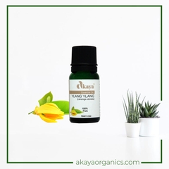 Tinh Dầu Ngọc Lan Tây 3rd Nguyên Chất - AKAYA Pure Ylang Ylang 3rd Essential Oil