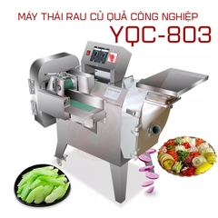 Máy cắt rau củ quả công nghiệp YQC 803 đa năng (thái lát, bào sợi, cắt hạt lựu...)