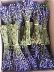 Túi hương thơm Lavender