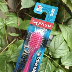 Bàn chải đánh răng cao cấp DENT- Nhật Bản