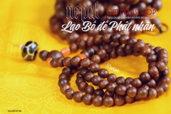 LONG MALA BỒ ĐỀ PHẬT NHÃN NEPAL 10mm, MIX
