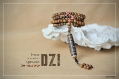 MALA 108 HẠT TRẦM VƯỜN MIX CARNELIAN VÀ DZI 9 MẮT