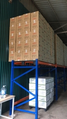 ke-sat-cong-nghiep-1-san-dai-2590-cao-2000-rong-900-tai-trong-1000kg