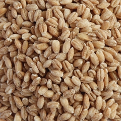 Hạt lúa mạch ( Ý dĩ ) tách vỏ khô hiệu Goowill Pearl Barley - Nhập Nga 800g