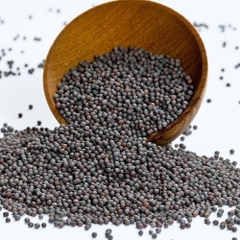 Hạt Mù Tạt Đen Black Mustard Seed - Xuất xứ Ấn Độ 500g