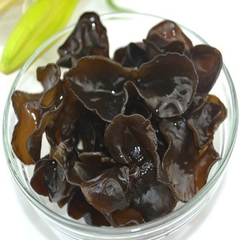 Nấm BLACK FUNGUS 1kg