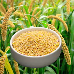 Hạt Kê tách vỏ khô hiệu Goodwill Millet Premium Grade ( Пшено Гудвилл Крупа ) - gói 800g