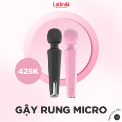 Gậy Micro