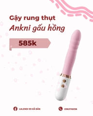 Máy Ankni