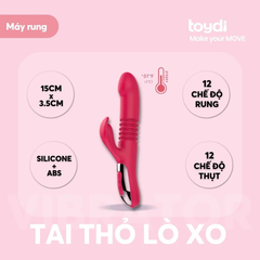 Tai Thỏ Lò Xo