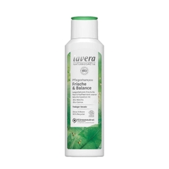 Dầu gội hữu cơ cân bằng độ ẩm Lavera Frische and Balance 250ml