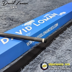 Ngọn David Loman Sky Radial