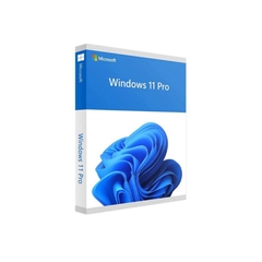 Phần mềm Windows 11 Pro 64-bit All Lng PK Lic Online DwnLd NR FQC-10572