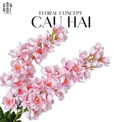 SET 2 CÀNH HOA PHI YẾN - DELPHINIUM - HỒNG NHẠT