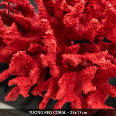 TƯỢNG RED CORAL