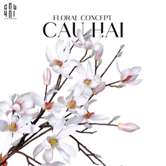 SET 2 CÀNH HOA MỘC LAN - MAGNOLIA