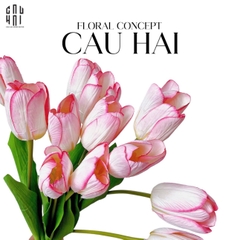 SET 5 CÀNH HOA TULIP HỒNG NHẠT 46CM
