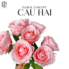 BÓ 8 HOA HỒNG CAM BABE