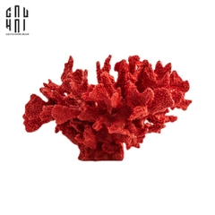 TƯỢNG RED CORAL