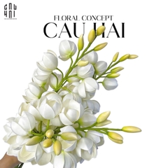 SET 2 CÀNH HOA PHONG LAN YUCCA