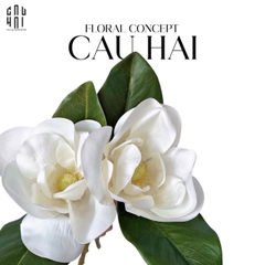 SET 2 HOA MỘC LAN TRẮNG - MAGNOLIA GRANDIFLORA