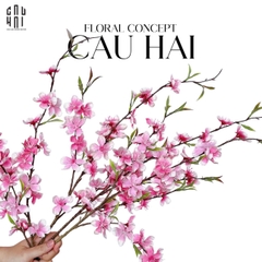 SET 2 CÀNH HOA ĐÀO - HỒNG