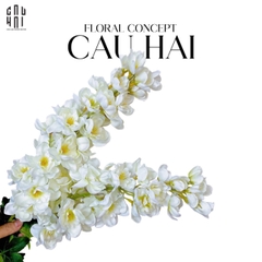 SET 2 CÀNH HOA PHI YẾN - DELPHINIUM - TRẮNG
