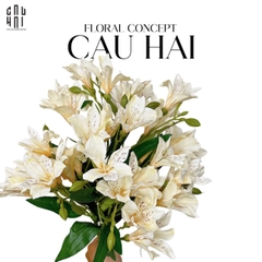 SET 2 CÀNH HOA THUỶ TIÊN