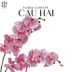 SET 2 CÀNH LAN HỒ ĐIỆP CÁNH XOĂN - HỒNG