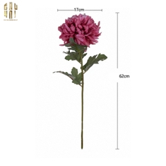 CÀNH CÚC THIÊN HƯƠNG MẪU ĐƠN - SPECIAL VERSION