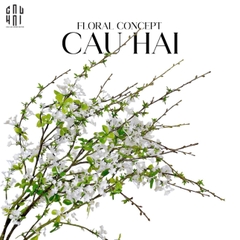 SET 2 CÀNH HOA MẬN