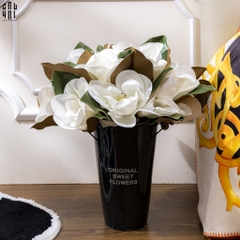 SET 2 HOA MỘC LAN TRẮNG - MAGNOLIA GRANDIFLORA