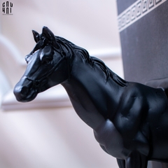 SET CHẶN SÁCH BLACK HORSE