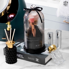 LỌ ĐỰNG CỌ MIMI BLACK