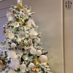 CÂY THÔNG GIÁNG SINH - NEW EDITION CANDY CANE CHRISTMAS TREE 2M4