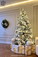 CÂY THÔNG GIÁNG SINH - NEW EDITION CANDY CANE CHRISTMAS TREE 2M4