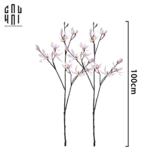 SET 2 CÀNH HOA MỘC LAN - MAGNOLIA