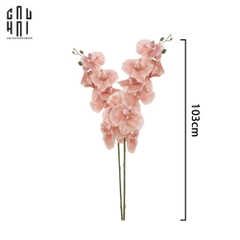 SET 2 CÀNH LAN HỒ ĐIỆP CÁNH XOĂN - HỒNG