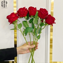 SET 5 CÀNH HOA HỒNG NHUNG - VELVET ROSE - RED