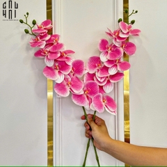SET 2 CÀNH LAN HỒ ĐIỆP BLISS ORCHIDS - HỒNG PHẤN