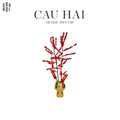 CHẬU ĐÀO ĐÔNG 2025 - SONG PHÚC CÁT TƯỜNG