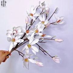 SET 2 CÀNH HOA MỘC LAN - MAGNOLIA