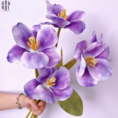 SET 5 CÀNH HOA TULIP NỞ  - TÍM