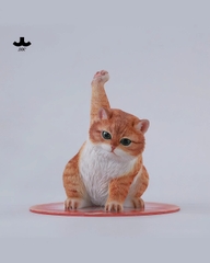 JXK-Super Cat-B