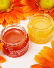 Dưỡng Môi Farmacy Lip Smoothie Vitamin C + Peptide Lip Balm 10g