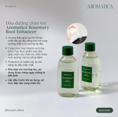 Bộ Chăm Sóc Tóc AROMATICA Rosemary Scalp Scaling Trial Kit 4pcs