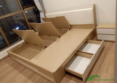 Giường Ngủ Hiện Đại Đa Năng - GN 04